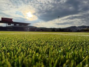 Nimibia-Rugby-Field-Installation-12