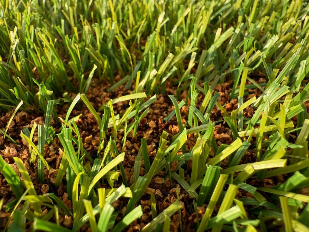 Leading the way in sustainable sport